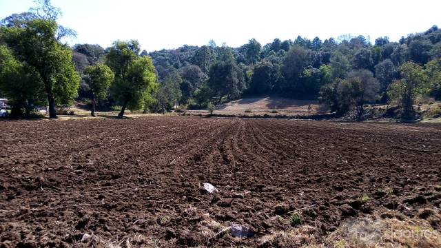 Terreno 3 hectareas, CON CASA, Amanalco, Valle de Bravo