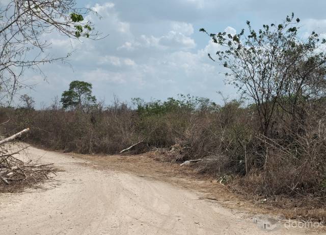 Excelente terreno en Tixcuytun, zona norte Merida