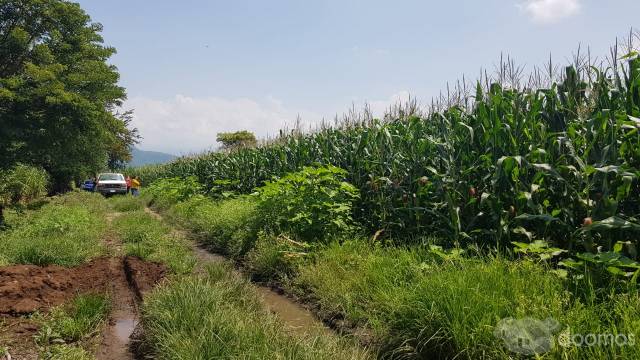 SE VENDE TERRENO DE 2 HECTÁREAS EN COCOYOC