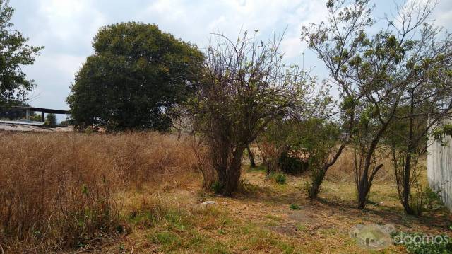 TERRENO EN VENTA EN IXTLACUIXTLA, TLAXCALA