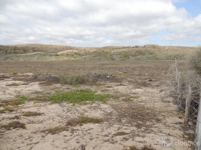 Terreno en Venta en La Boquita Tomatlán 25.5 HA