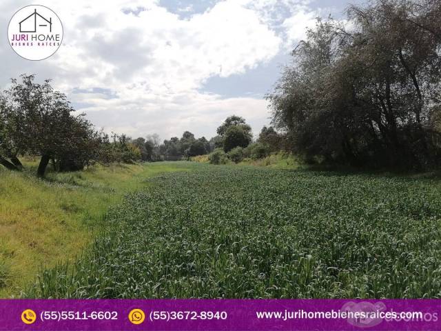 VENTA DE TERRENO EN TENANGO DEL AIRE