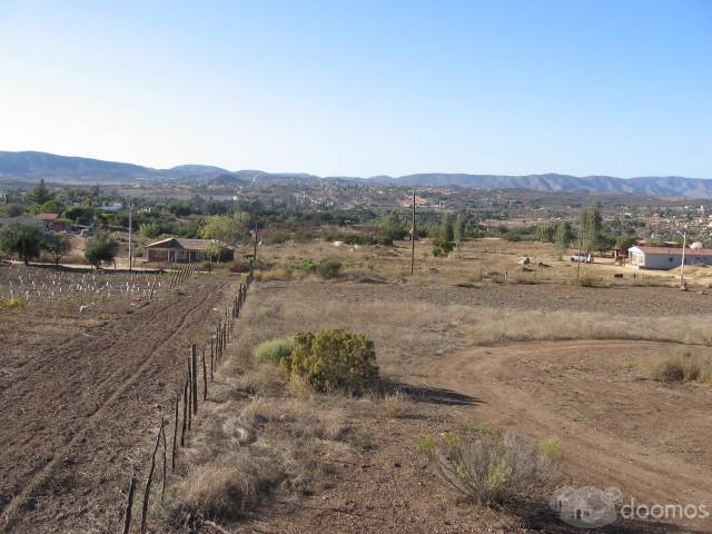 VALLE DE GUADALUPE, RUTA DEL VINO, ENSENADA, B. C.