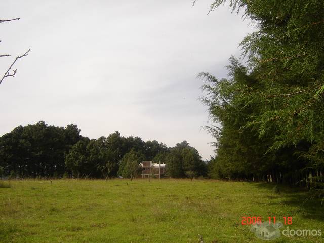 Vendo Hermosos LOTES campestres todas las medidas. 200 m2 $248 000 pesos