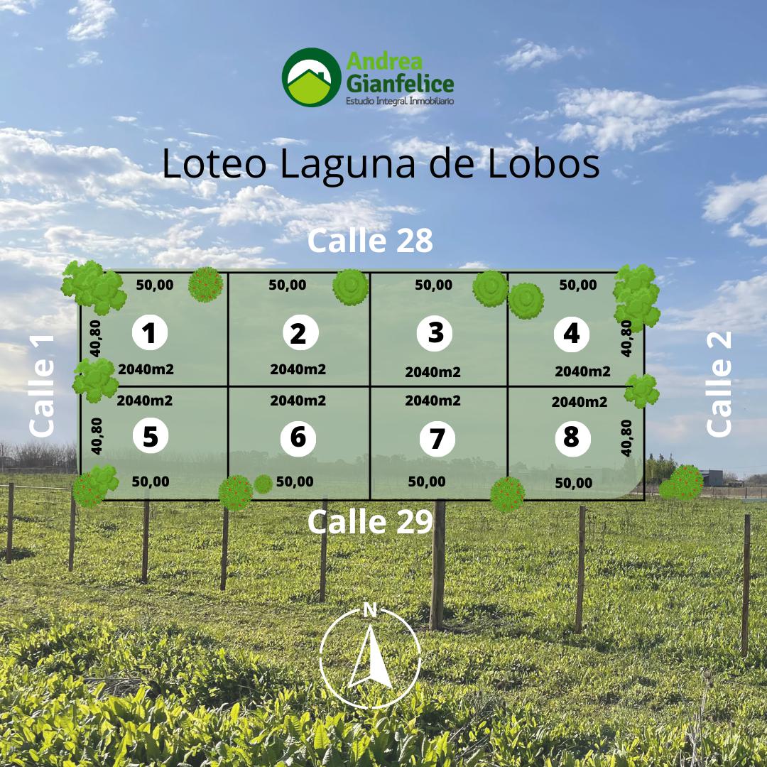 Venta terreno en Laguna de Lobos,  2040m2  Loteo