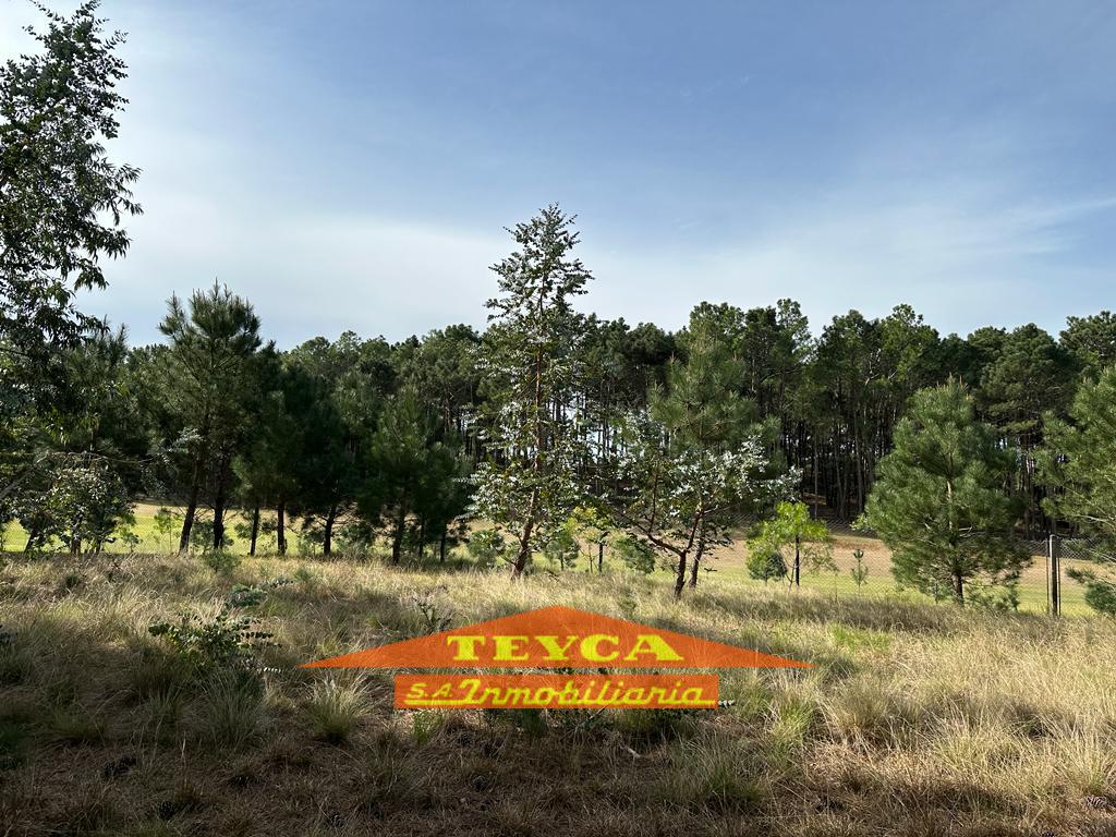 Terreno en  VENTA, ZONA ISLA DEL GOLF