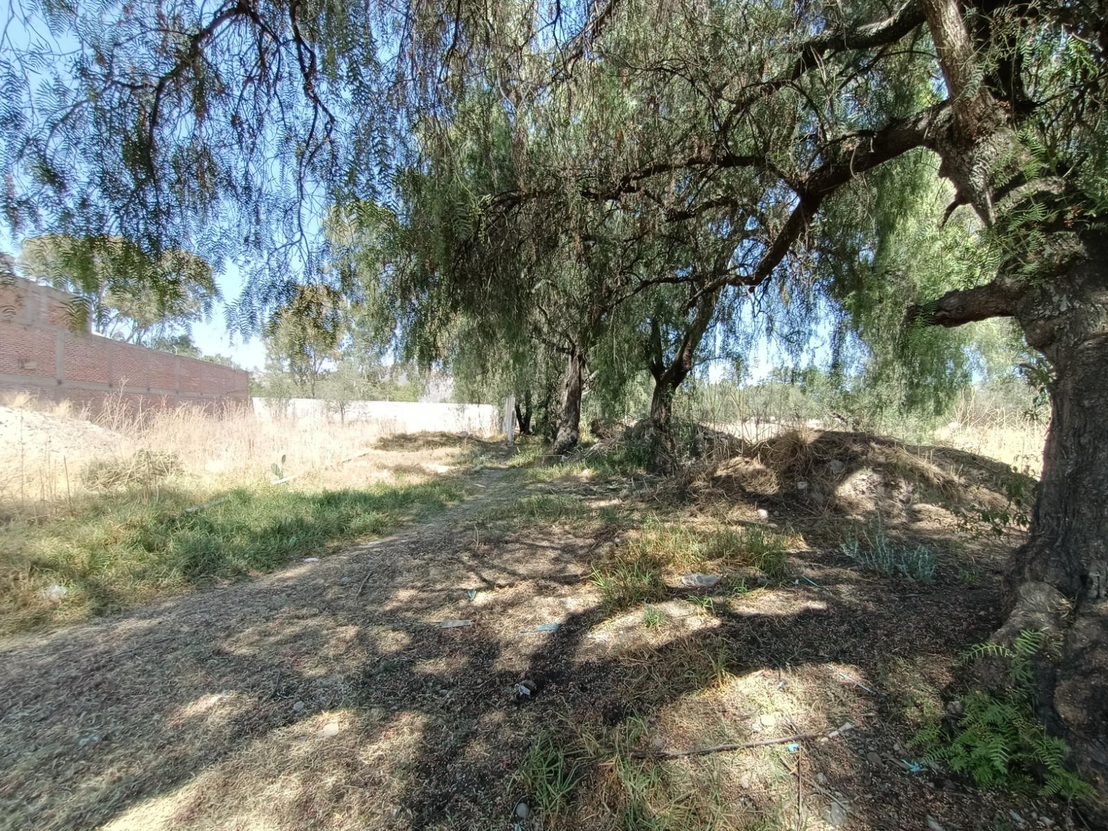 TERRENO A LA VENTA EN PUEBLO DE AMAJAC, CHIAUTLA