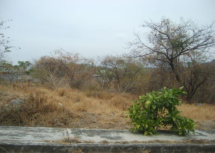 Terreno - Benito Juárez (Centro)