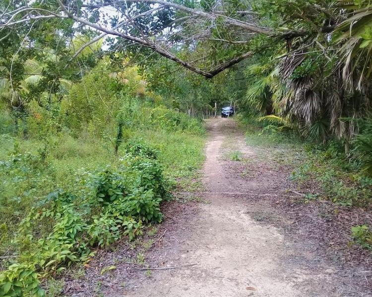 Terrenos en venta con laguna en Bacalar