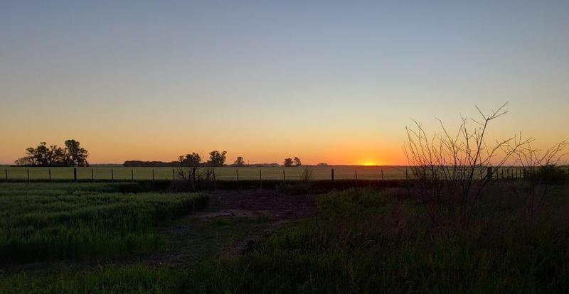 Campo  en Venta ubicado en Carmen de Areco, Provincia, Buenos Aires