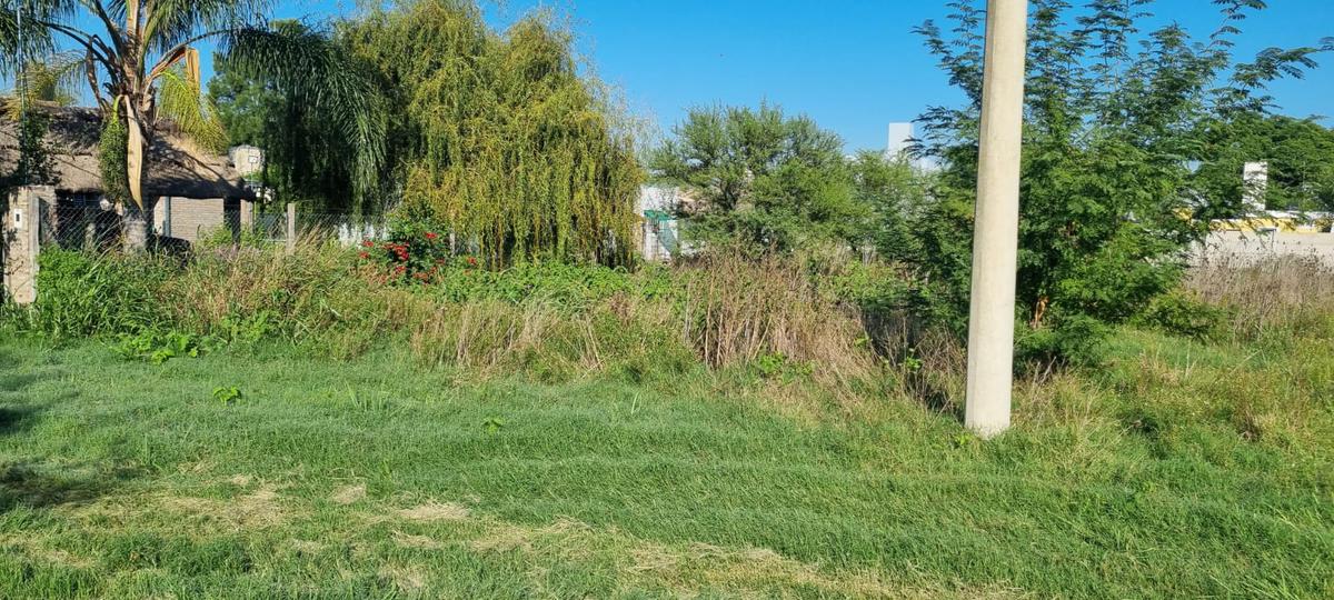 Terreno en barrio los pinos 1 - Villa Amelia