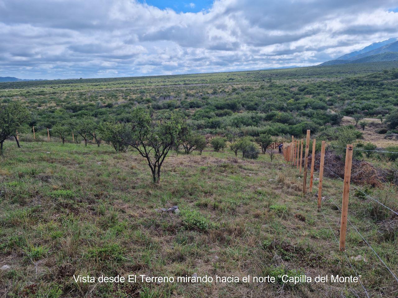 TERRENO EN VENTA EN LOS COCOS