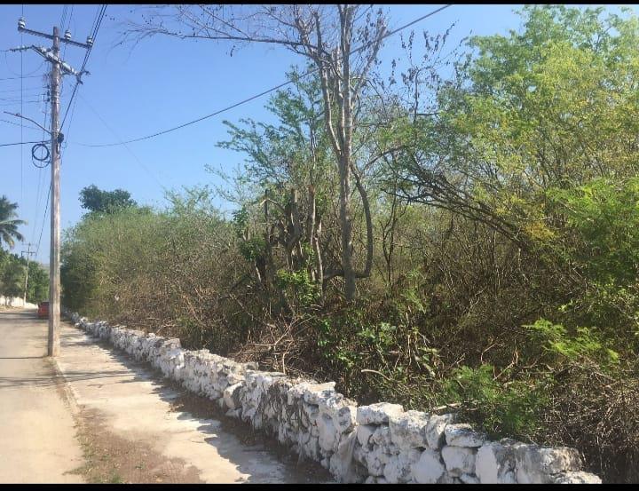 Terreno en  Hocaba, Yucatan.