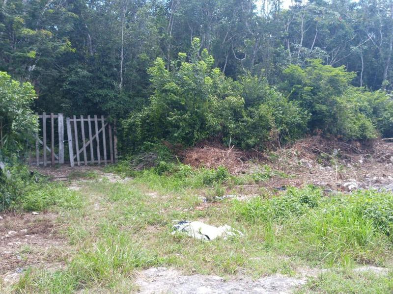 TERRENO EN VENTA EN FRANCISCO HU MAY A SOLO 25 MINUTOS DE TULUM