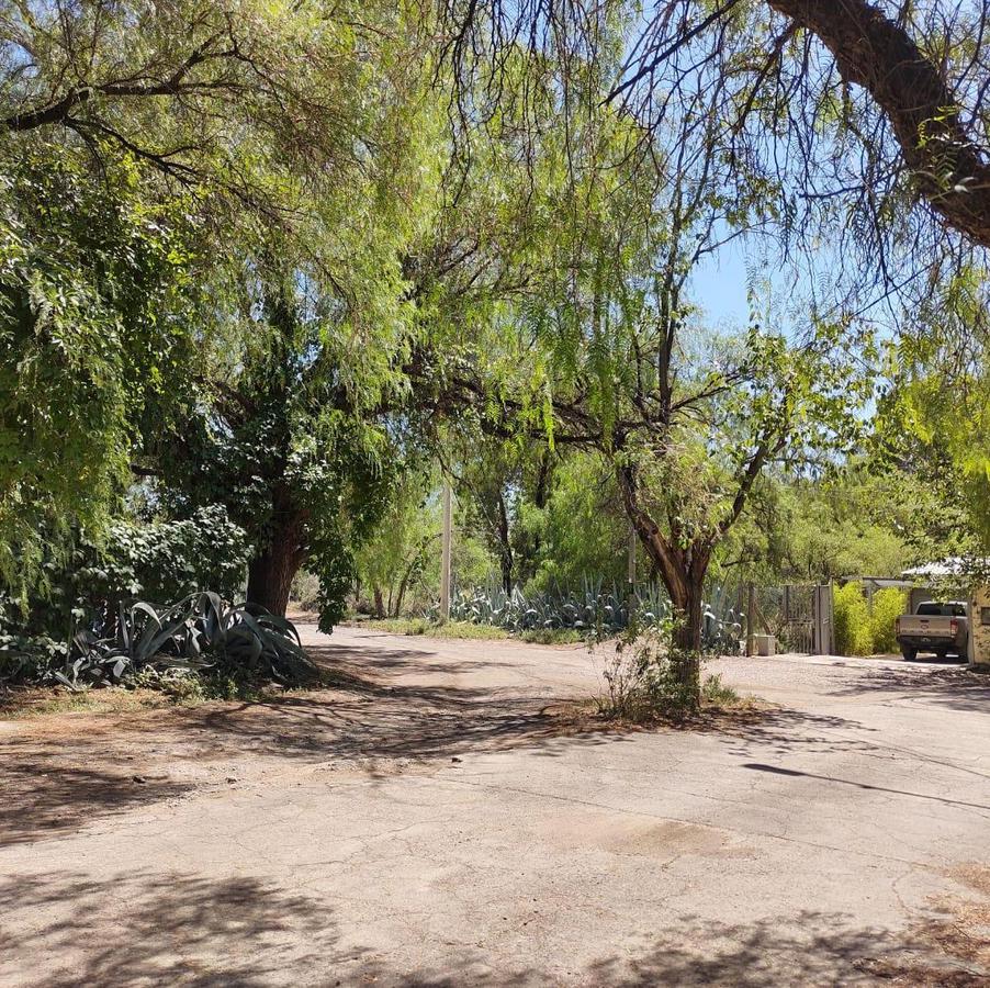 LOTE EN VENTA - EL CHALLAO - LAS HERAS - MENDOZA