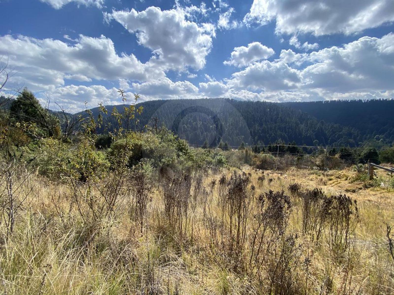 Terreno en Venta en Cañada de Alférez