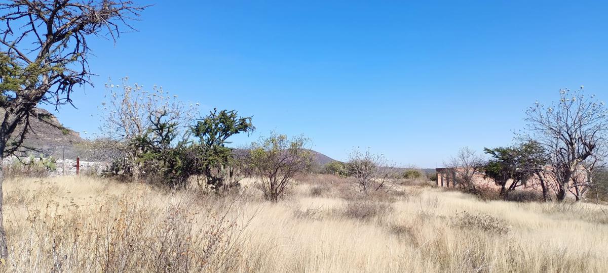 Venta de Terreno en La Granjita, Jesús María, Ags.