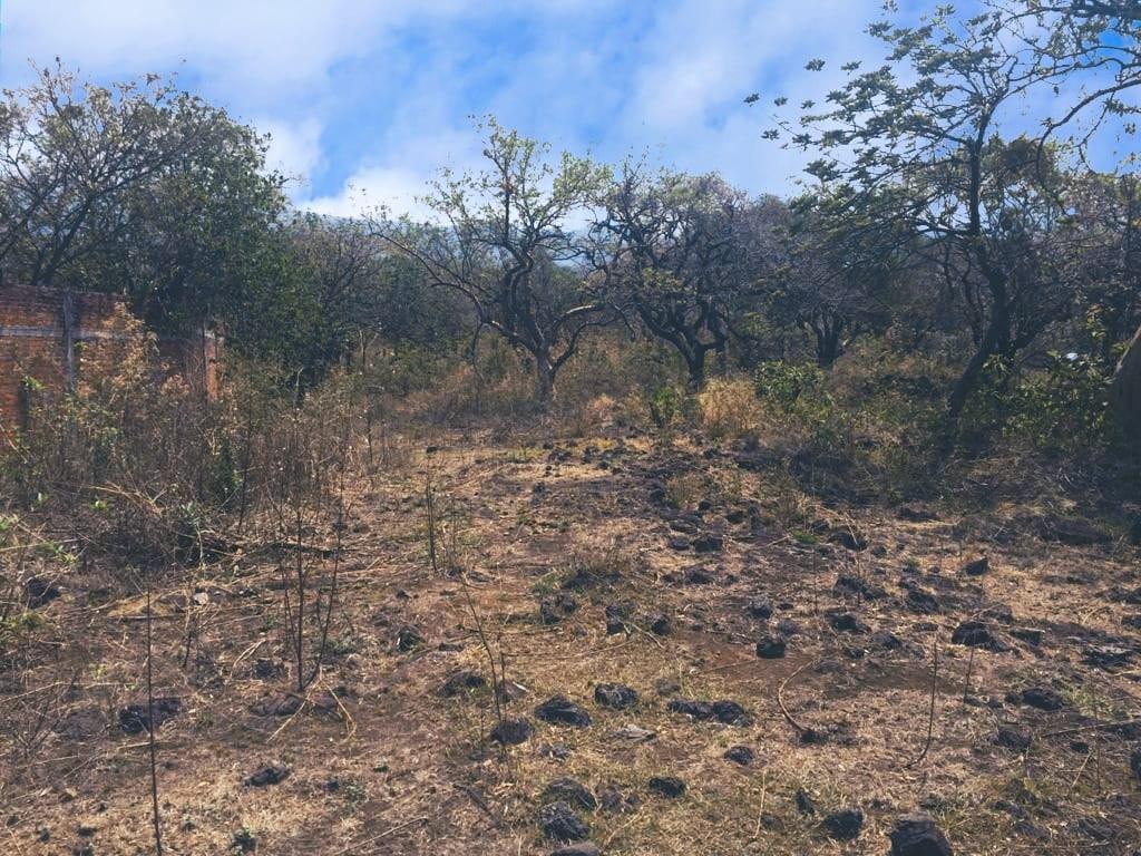 Terreno en  venta en Tepoztlán