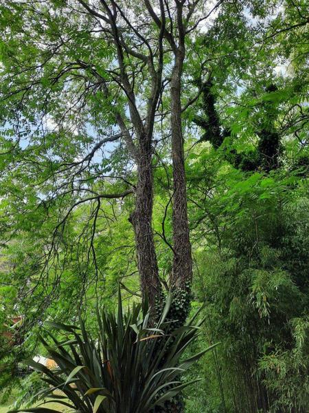 Lotes La Arboleda Miramar a 500 mts dl Bosque Vivero Dunícola Florentino Ameghino.