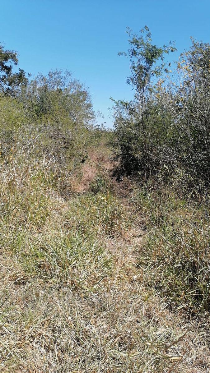 Venta de Rancho a Orilla de Carretera Tizimin- Cuyo