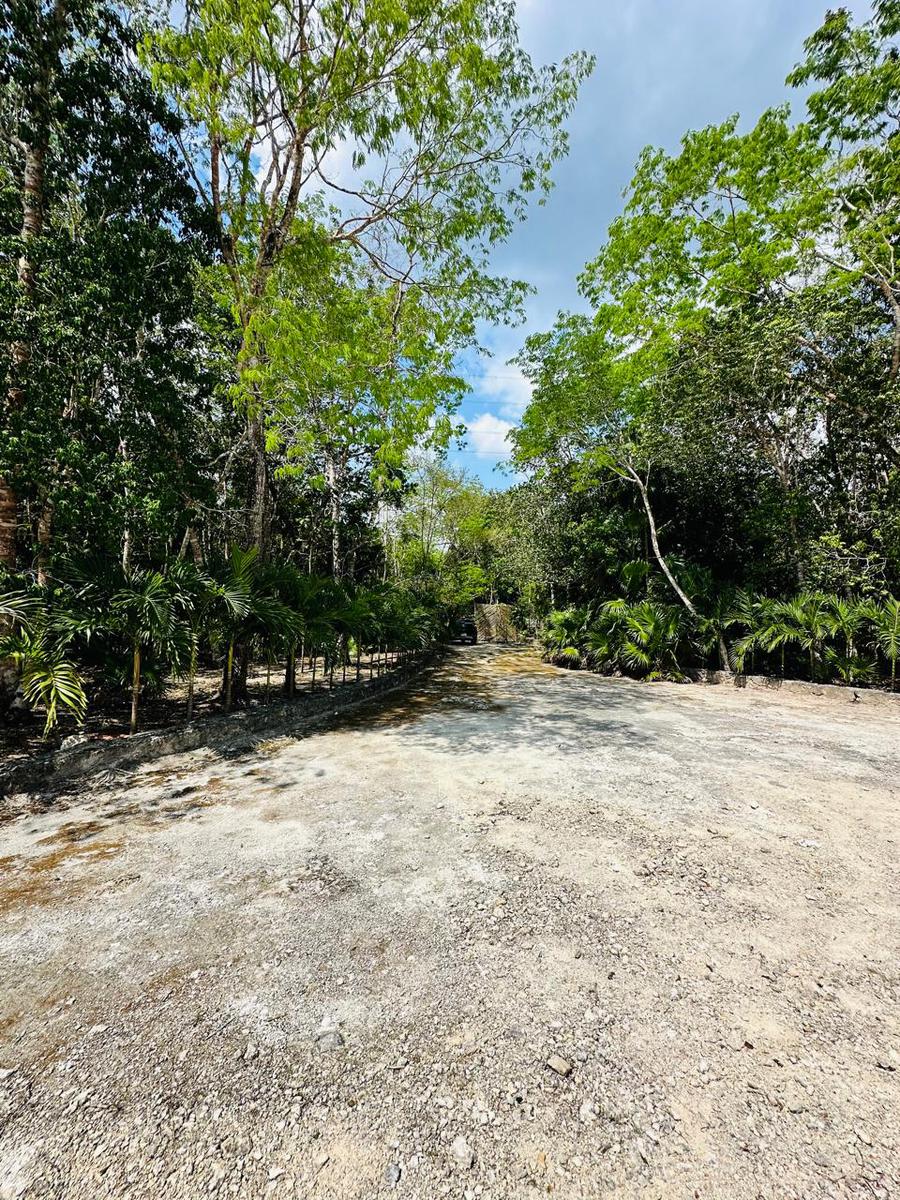 Terreno en venta en la ruta de los cenotes