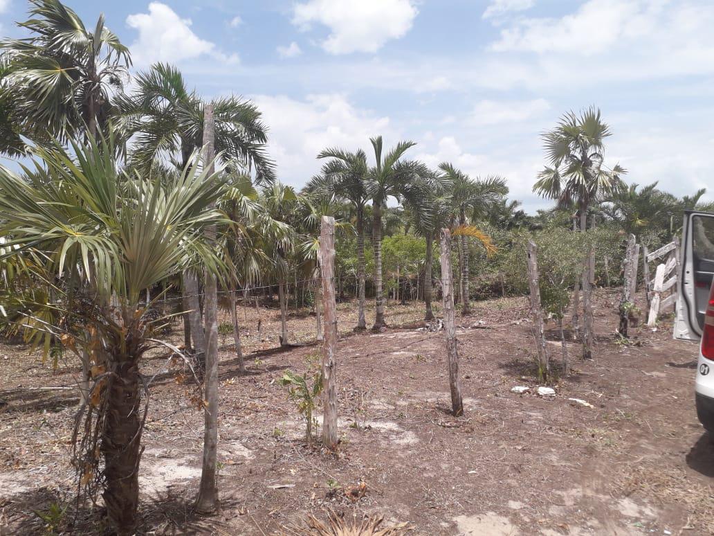 Terrenos en venta el cuyo cancun