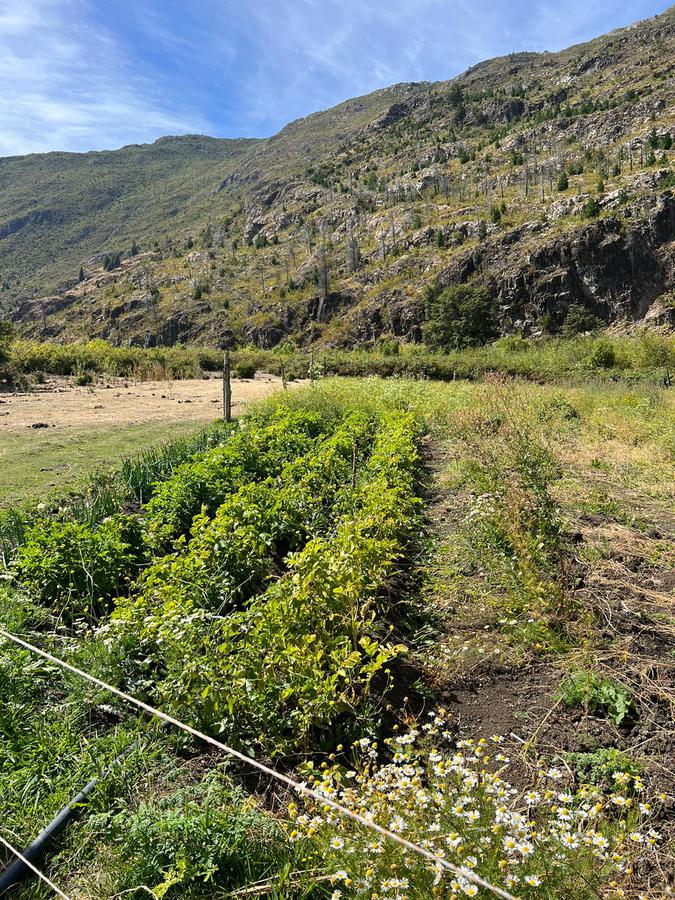 Chacra en  El Hoyo. Camino a desemboque