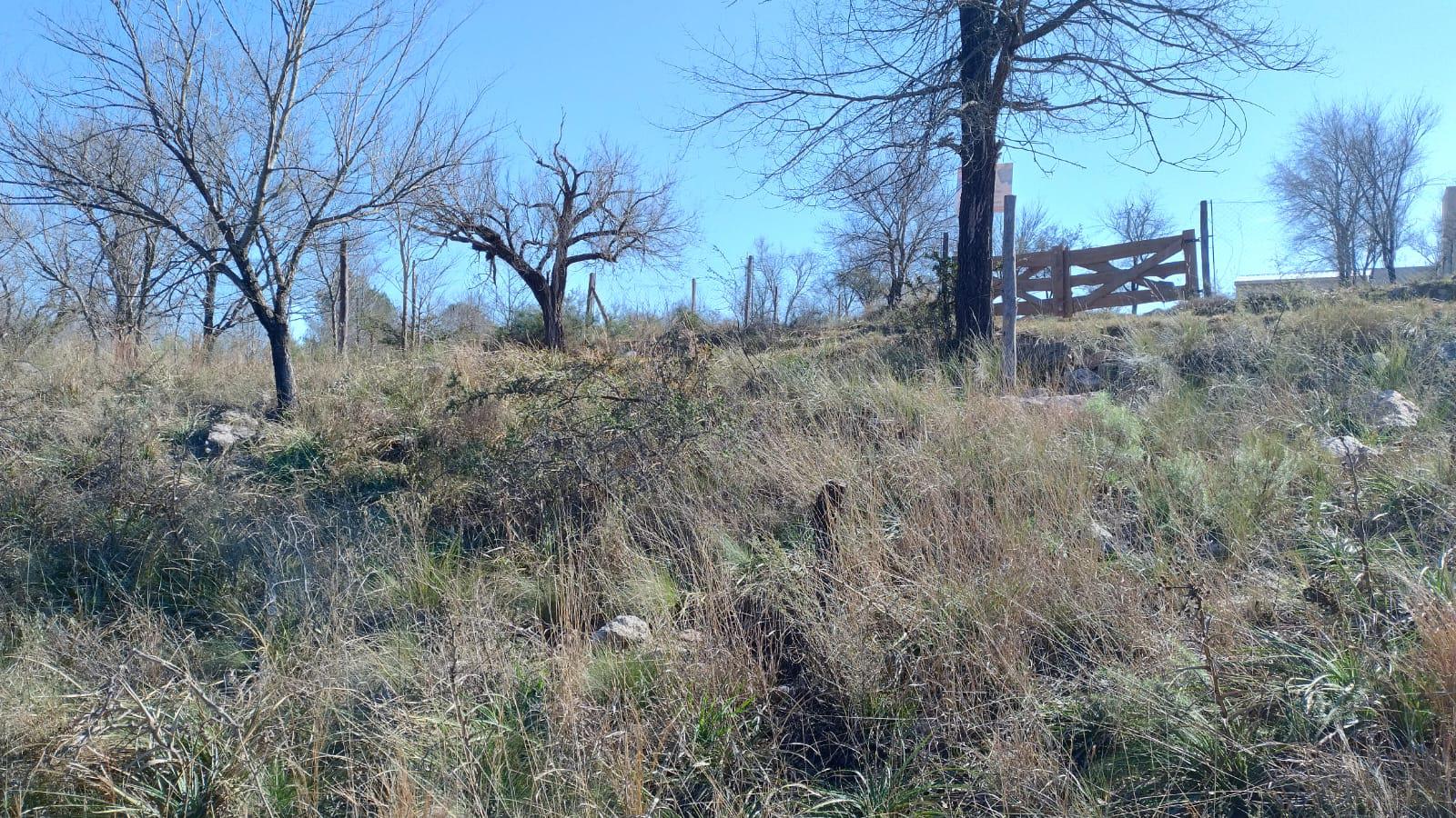 TERRENO EN CASA GRANDE SIERRAS DE CORDOBA