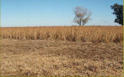 Campo en venta en San Cayetano, Provincia de Buenos Aires