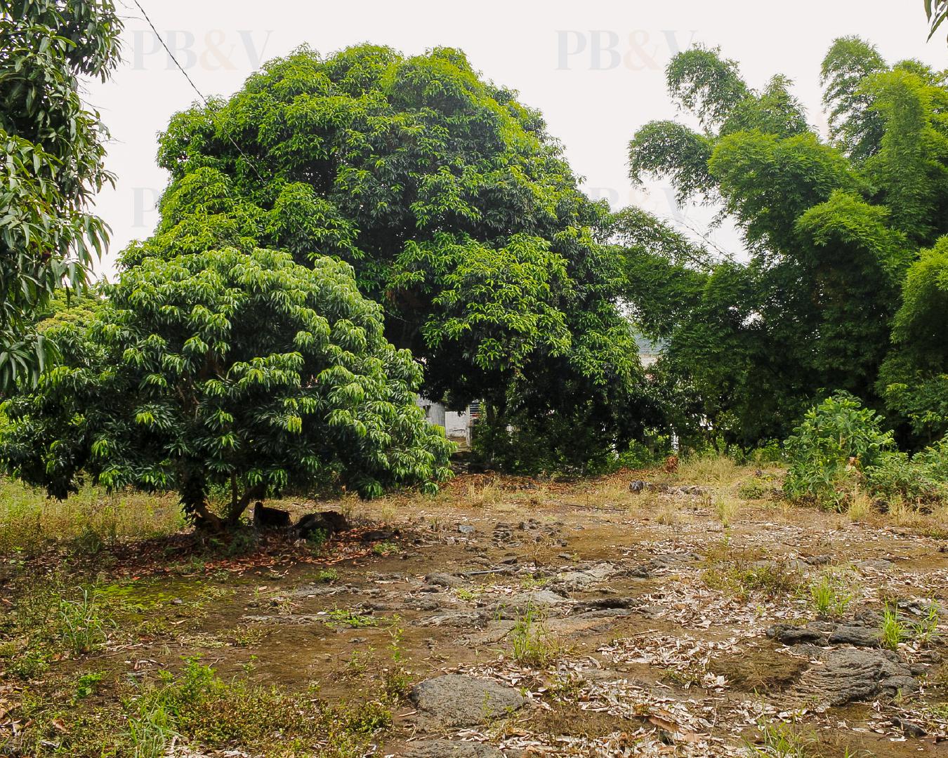 Terreno en Congregacion San Nicolás