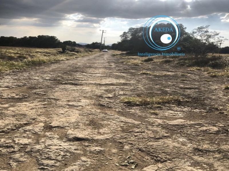 VENTA DE 1ha A 7km DEL ARCO NORTE CASETA CD SAHAGÚN