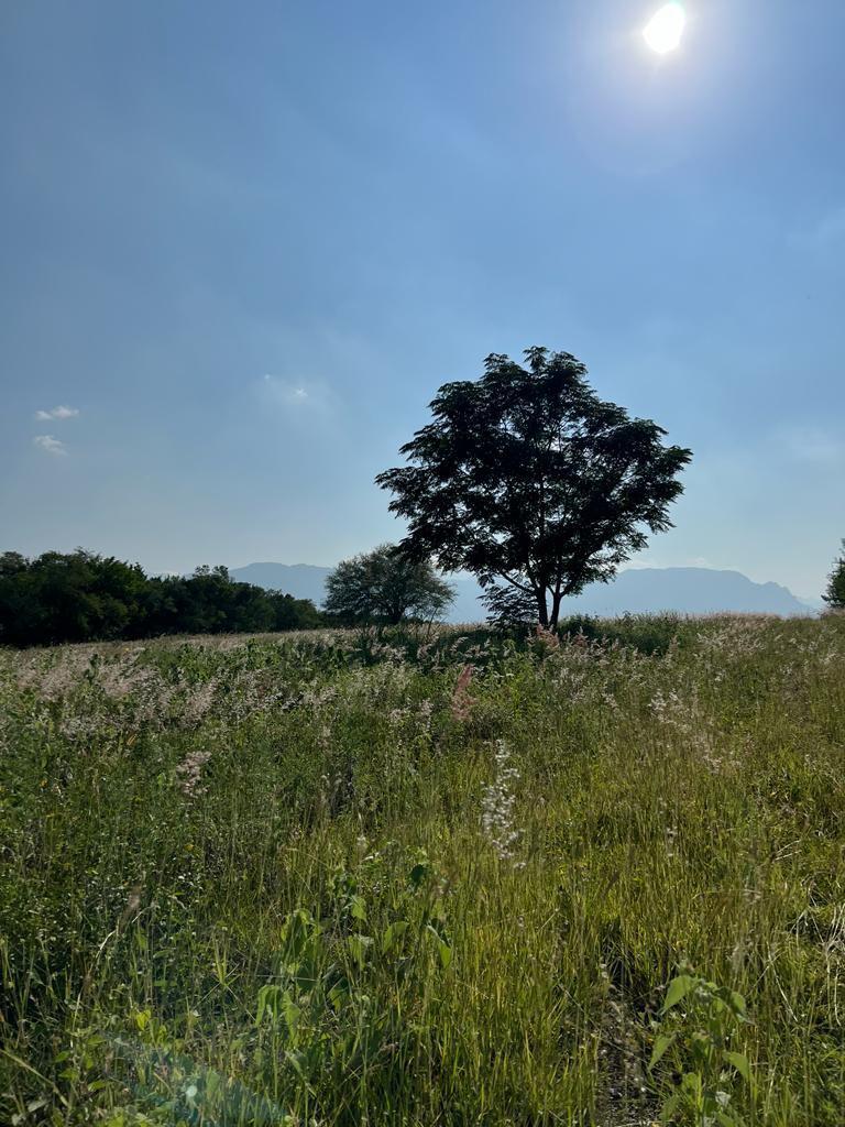 Terreno campestre en venta en Montemorelos