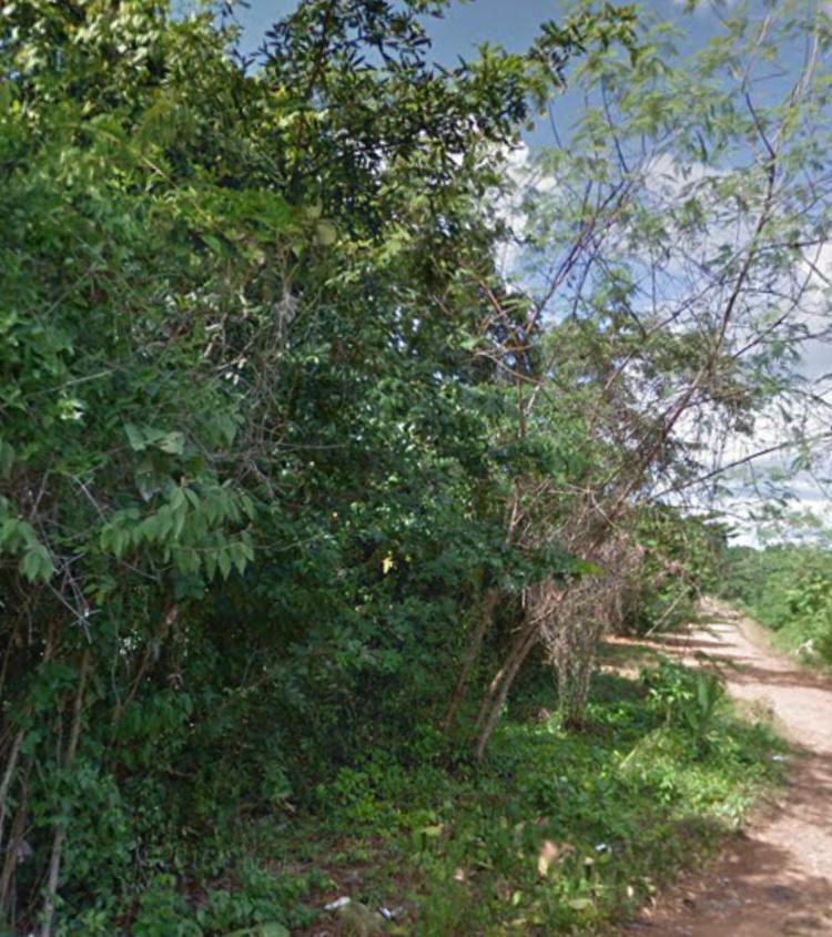 Terreno en Leona Vicario, Puerto Morelos, Quintana Roo
