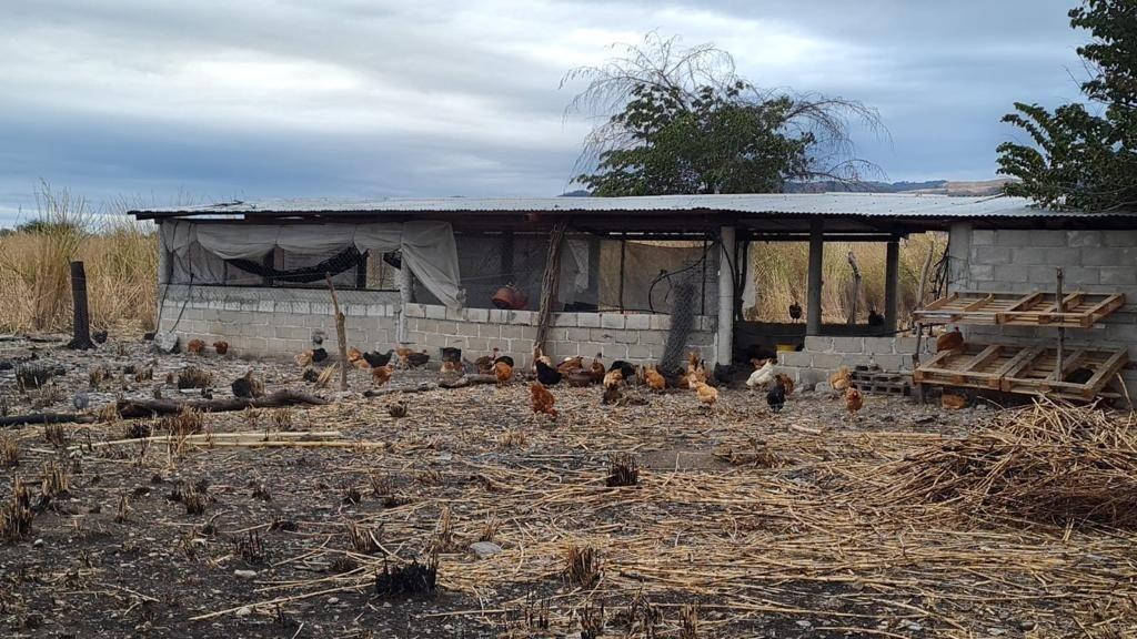 Se vende rancho de 13 hectáreas muy cerca del Aeropuerto Internacional