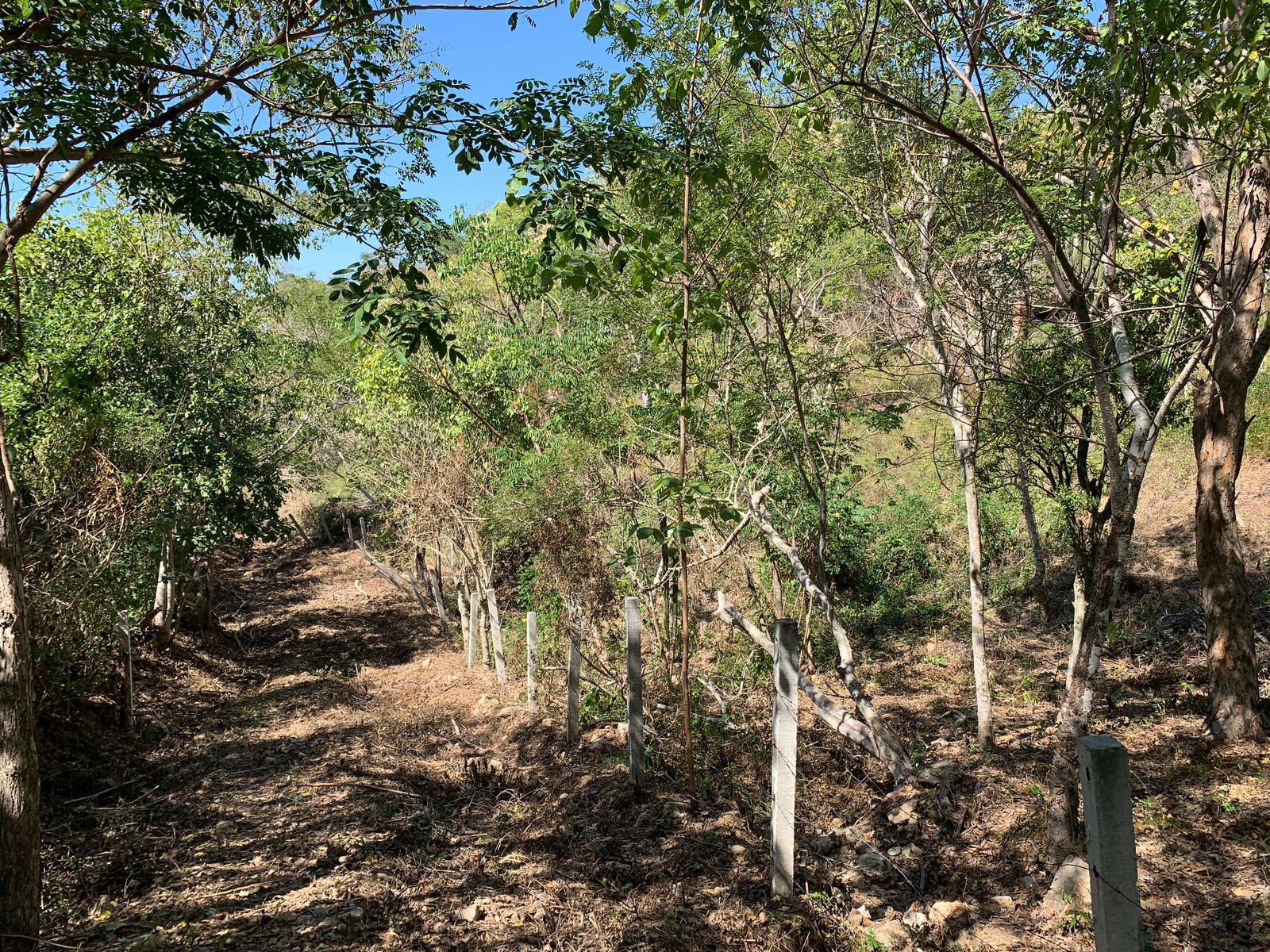 Terreno en  venta en Mazunte