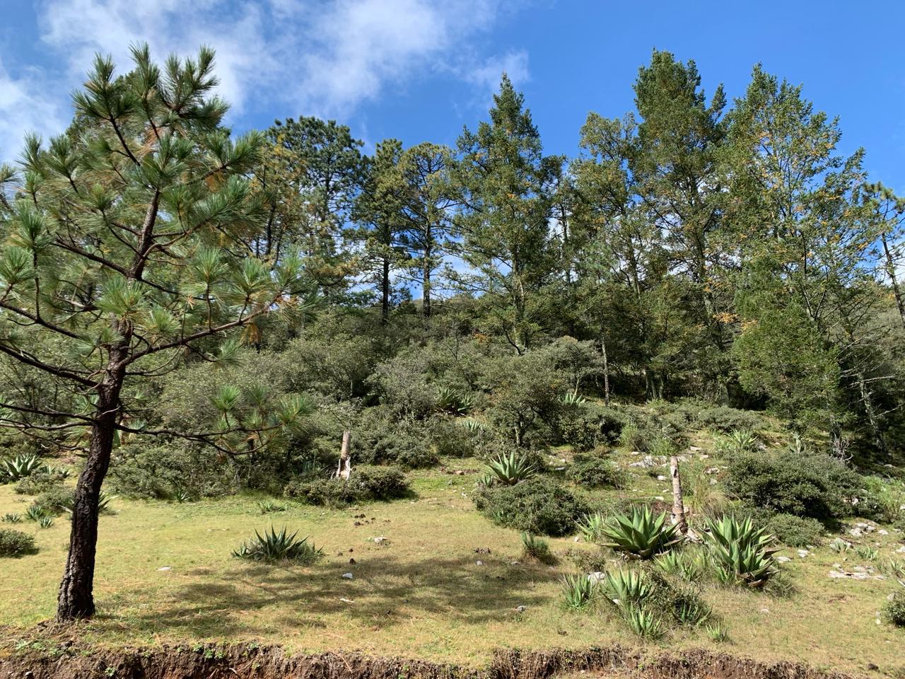 Terreno Campestre para Construccion