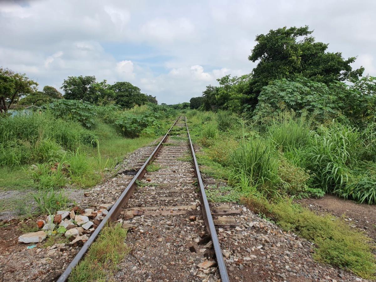 VENTA DE HECTÁREAS EN VARGAS VERACRUZ