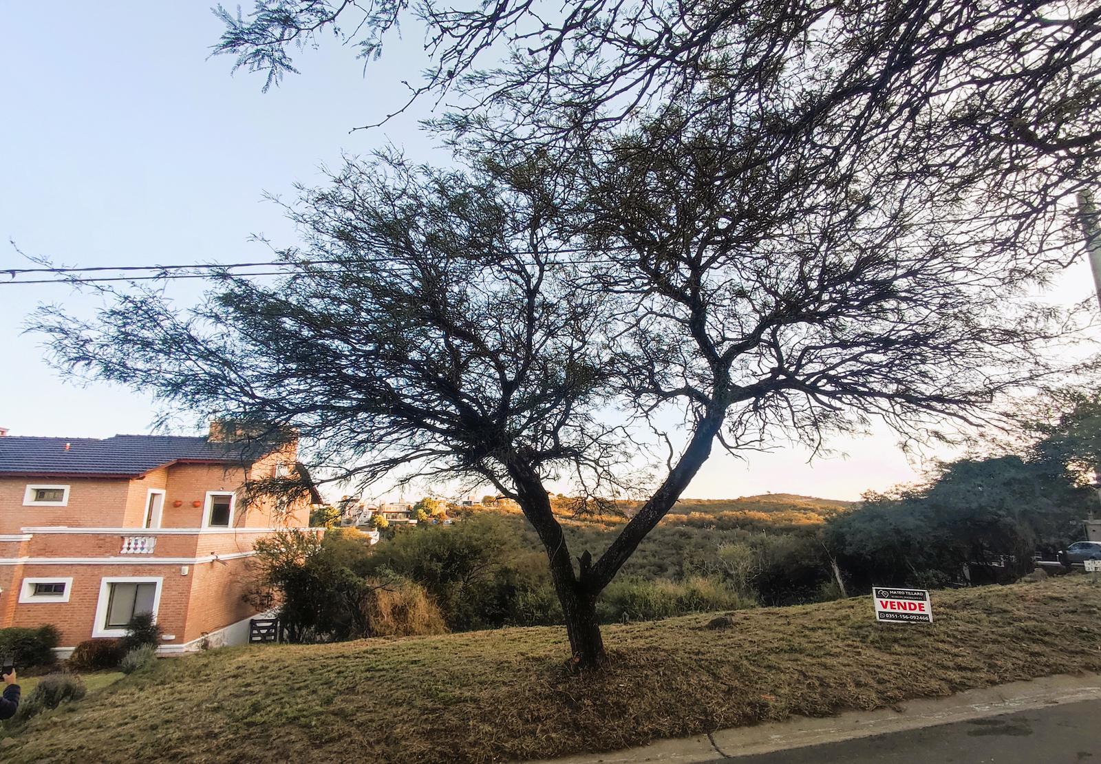 Terreno en 5 Lomas, Villa Warcalde