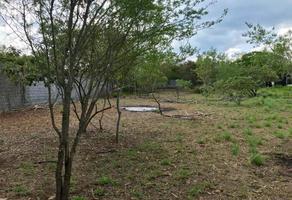 Terreno en venta  de 2800 hectáreas uso ganadero  y Cinegético Linares Nuevo León .