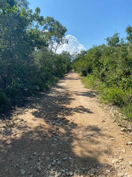 Venta de una Hectárea en Cobá