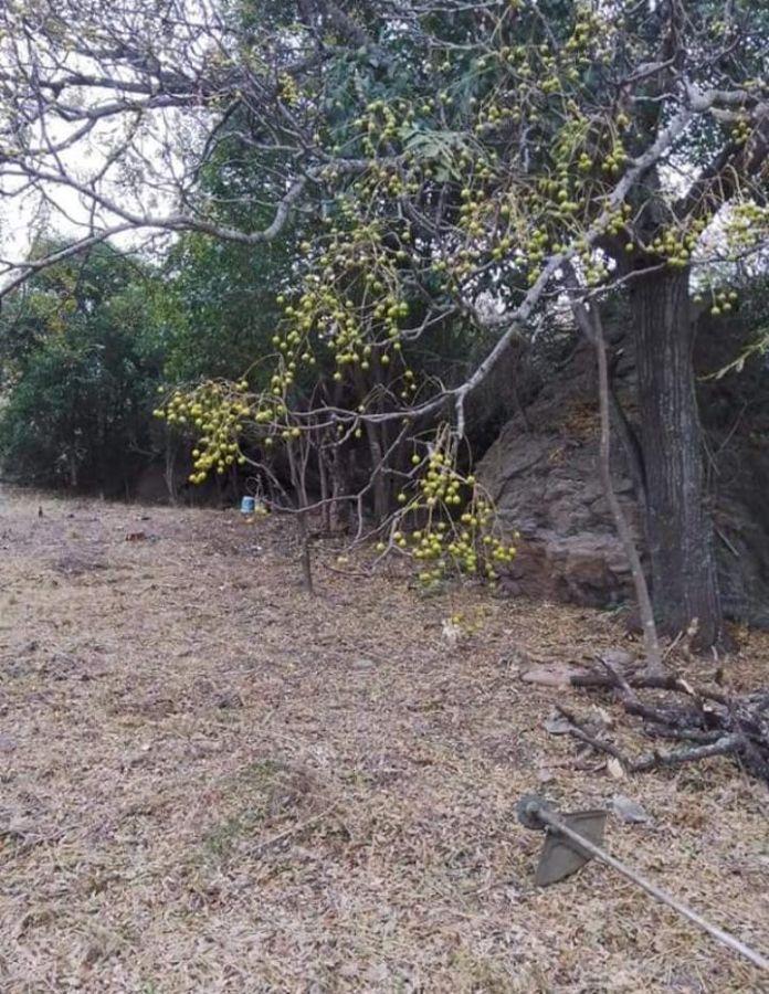 Lote en venta de 605m2 ubicado en Cabalango