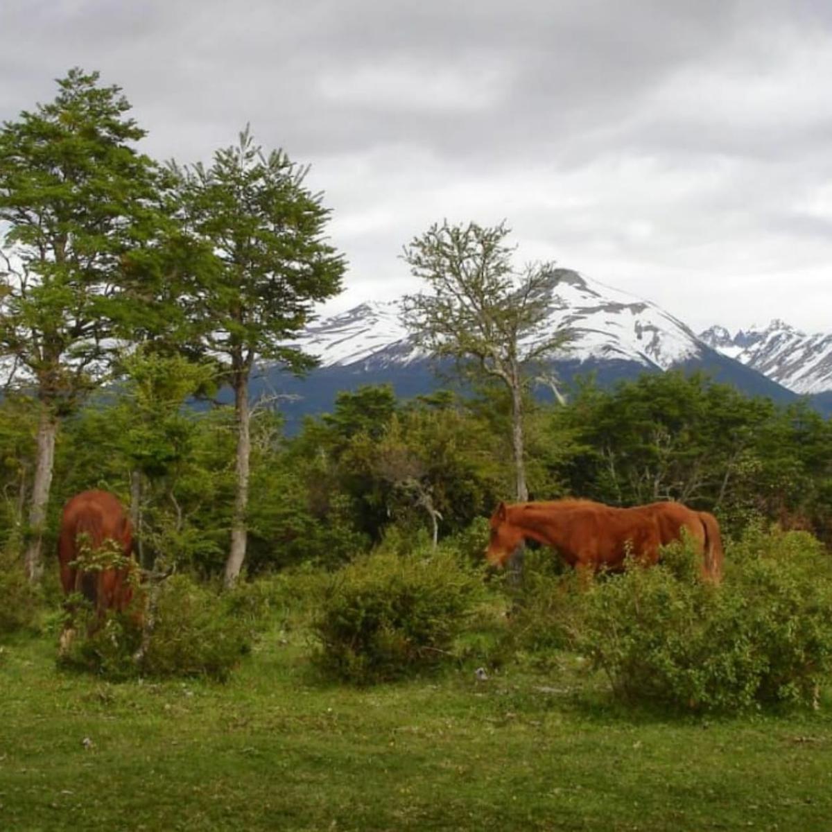 Hectárea en venta CHUBUT