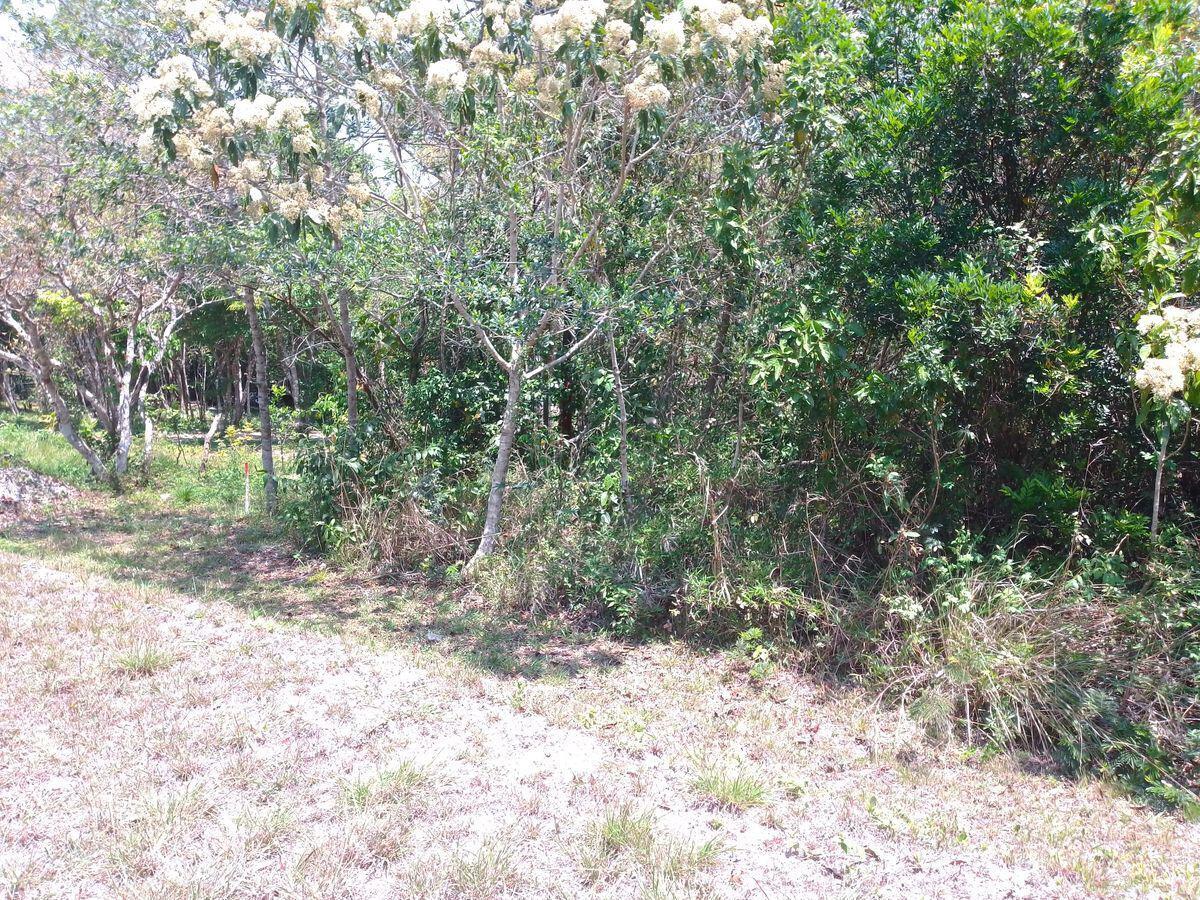 Se vende Terreno campestre Ecológico en Ocozocoautla, Chiapas.