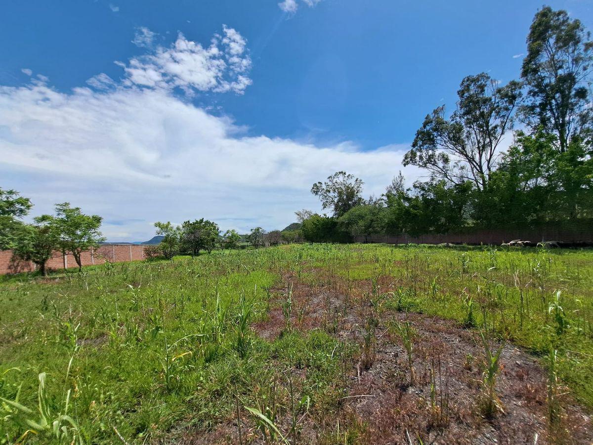 Rancho en Venta, Cuautla, 65,560 m2