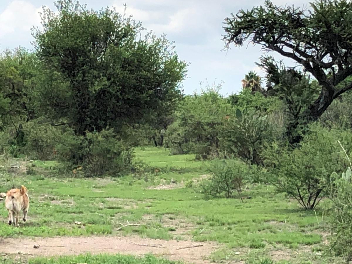 Terreno - Rancho o rancheria Salto de los Salados