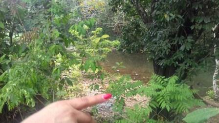 Oportunidad terreno en Hueyapan de Ocampo, con nacimiento de agua perm