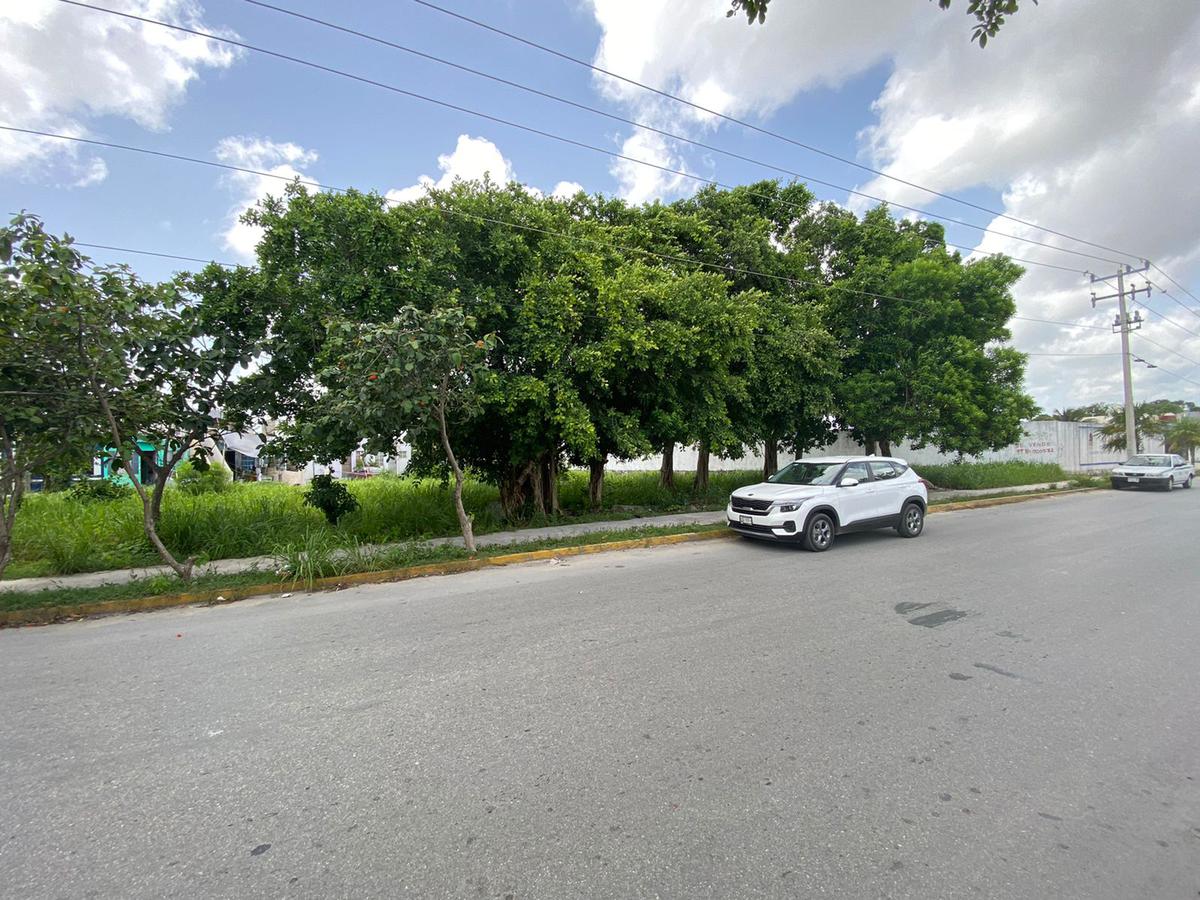 TERRENO EN AV. LOCAN POR LA LOMBARDO TOLEDANO