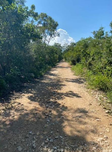 Parcela en Macario Gomez