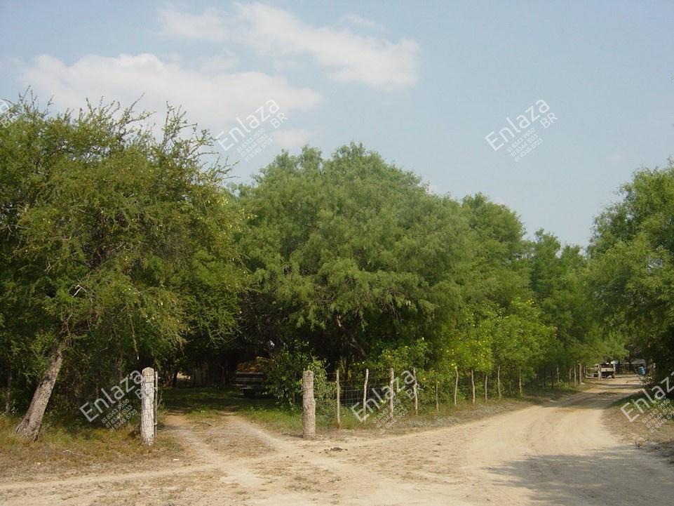 Rancho agrícola en Venta  Los Ramones, N.L.