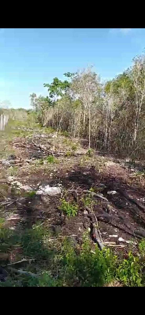 Terreno en Venta en Puerto Morelos, Quintana Roo